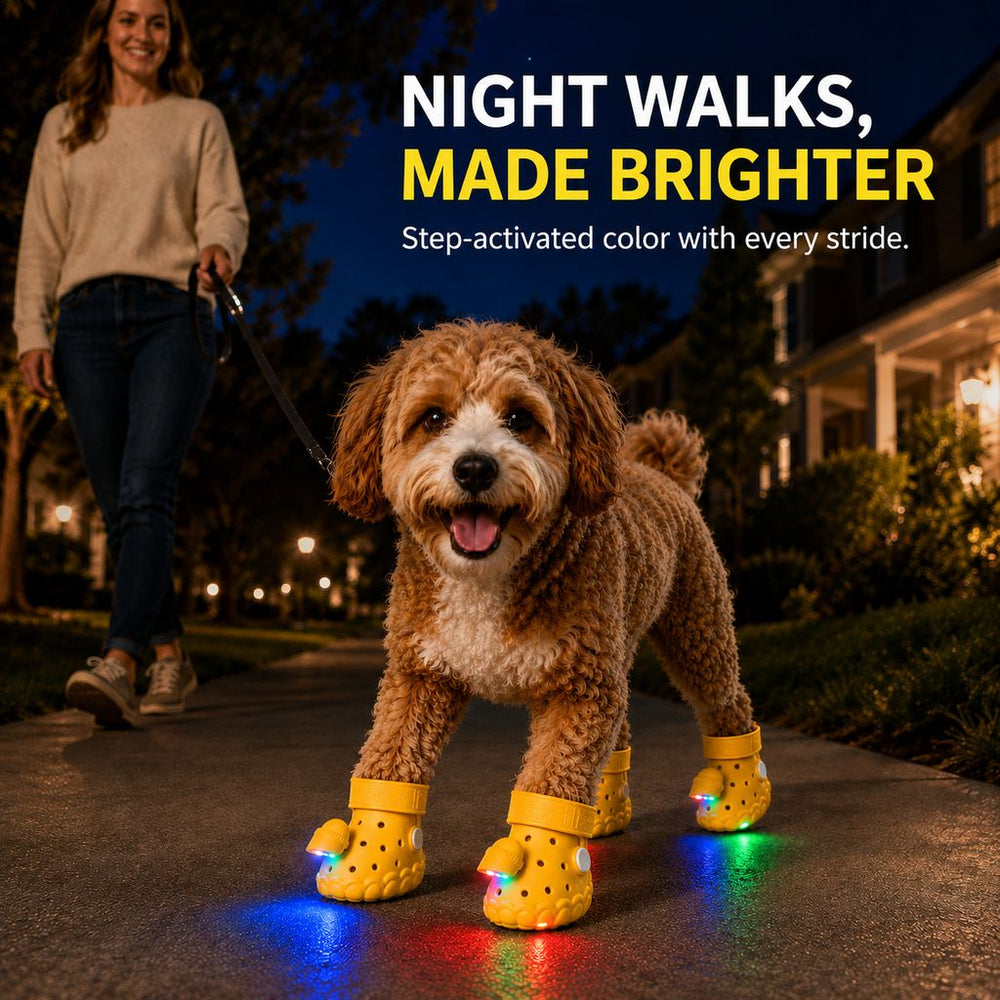 Step-Activated RGB Light-Up Dog Boots for Night Walks