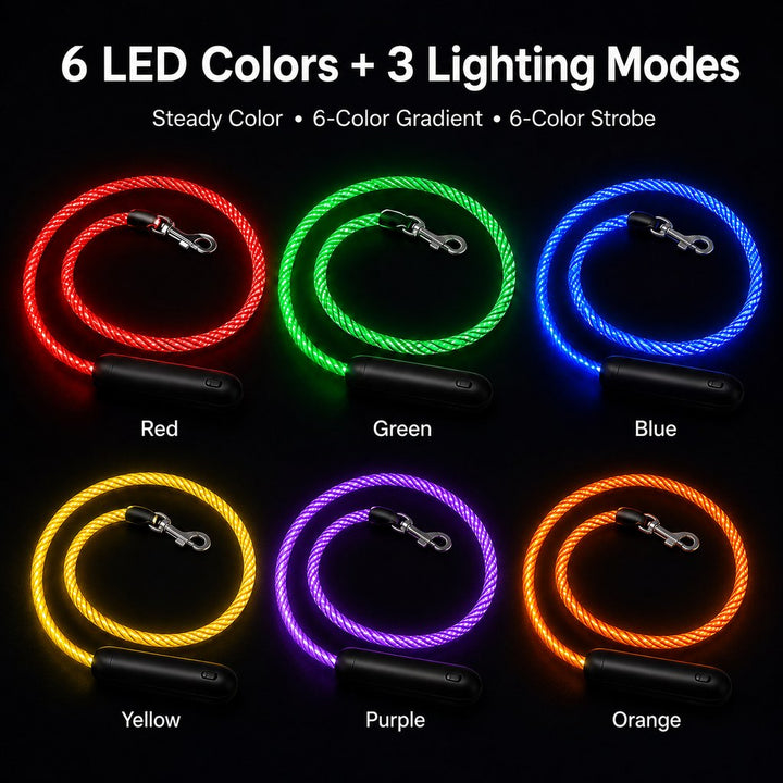 NightGlow LED Light-Up Dog Leash for Night Walks
