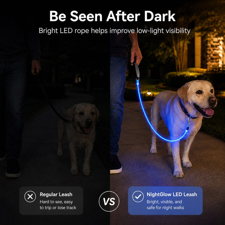 NightGlow LED Light-Up Dog Leash for Night Walks