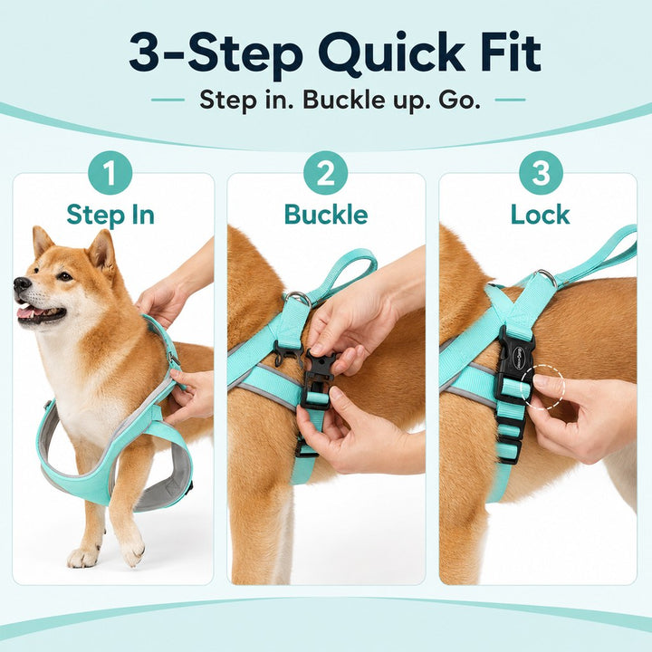 Quick-Fit Lightweight Dog Harness & Leash Set for Daily Walks