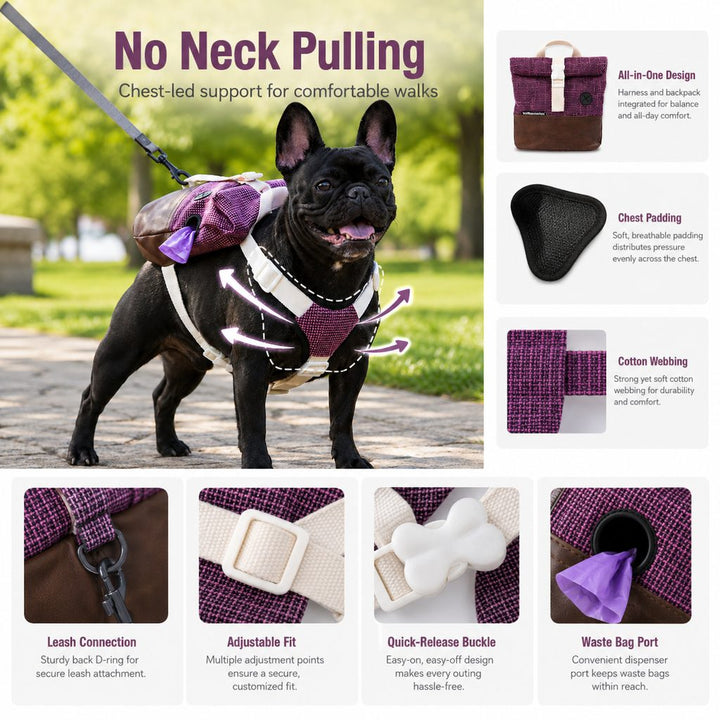 Frenchie Adventure Backpack Harness for Daily Walks