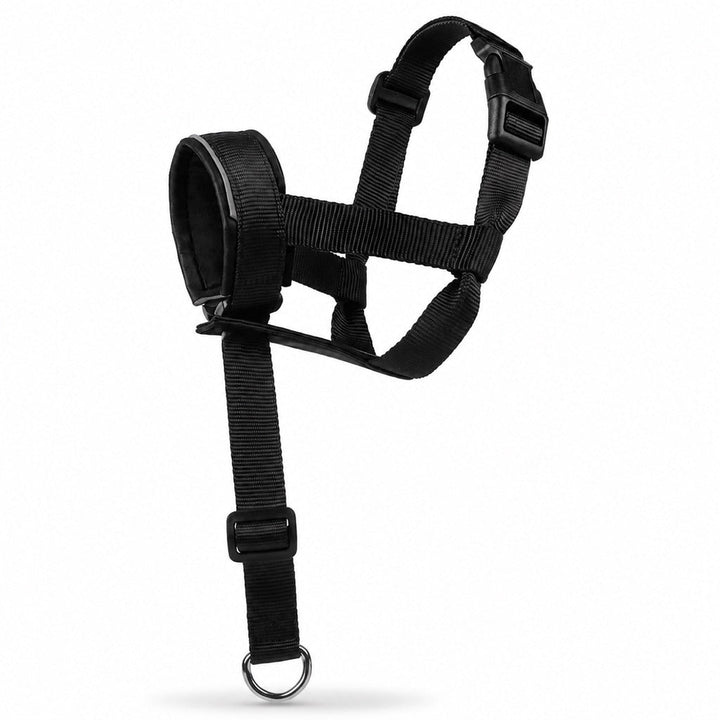 No-Pull Dog Head Halter for Daily Walks