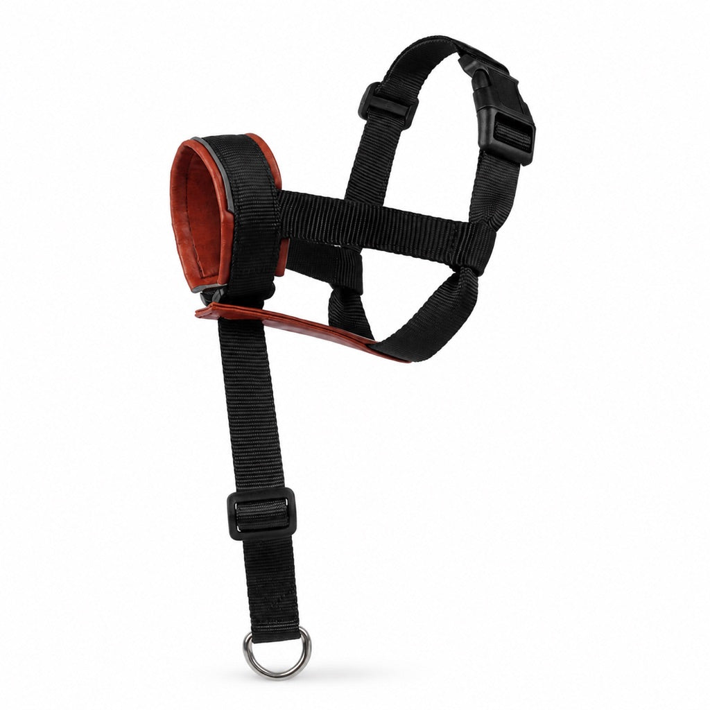 No-Pull Dog Head Halter for Daily Walks