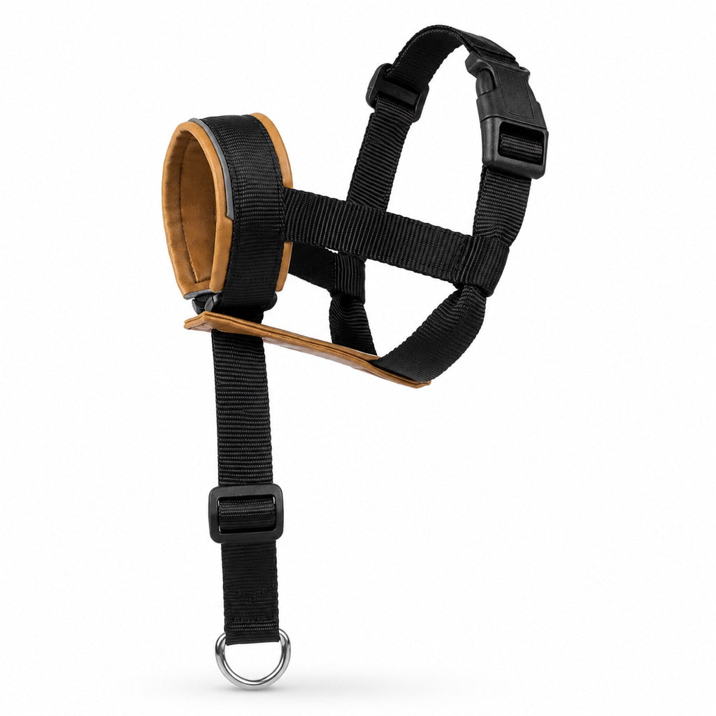 No-Pull Dog Head Halter for Daily Walks