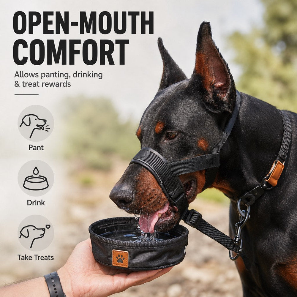 No-Pull Dog Head Halter for Daily Walks