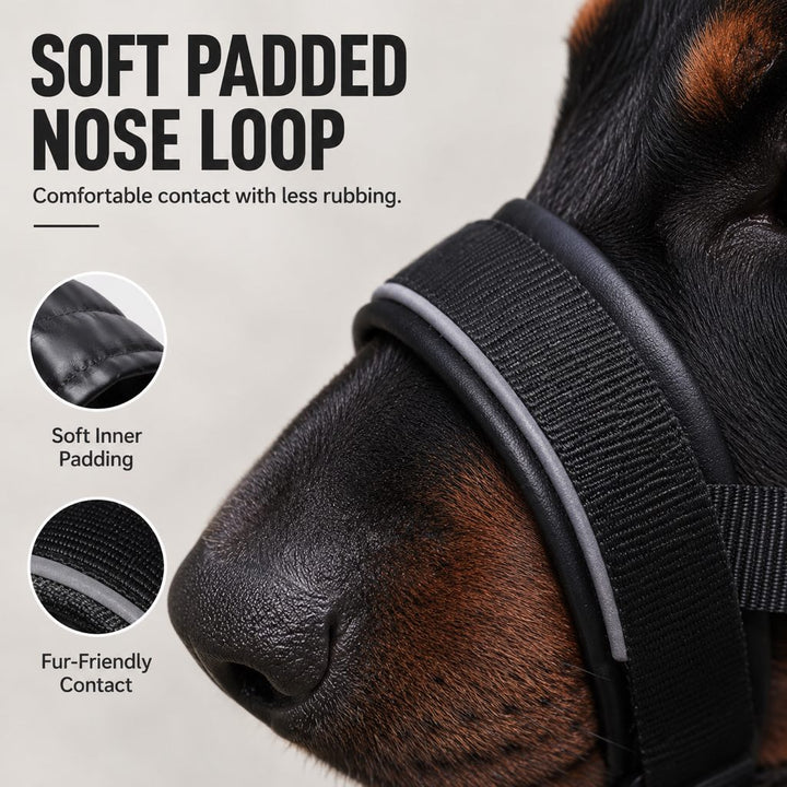 No-Pull Dog Head Halter for Daily Walks