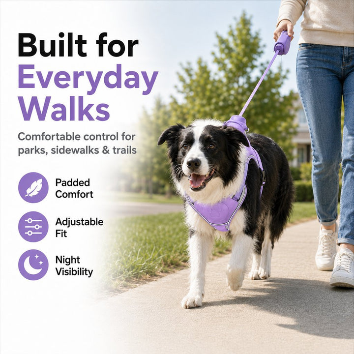 No-Pull Reflective Dog Harness with Built-In Retractable Leash for Safer Daily Walks