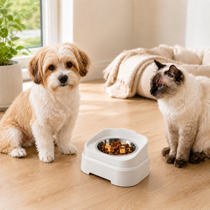 Adjustable Elevated Slow Feeder Pet Bowl for Cats & Small Dogs