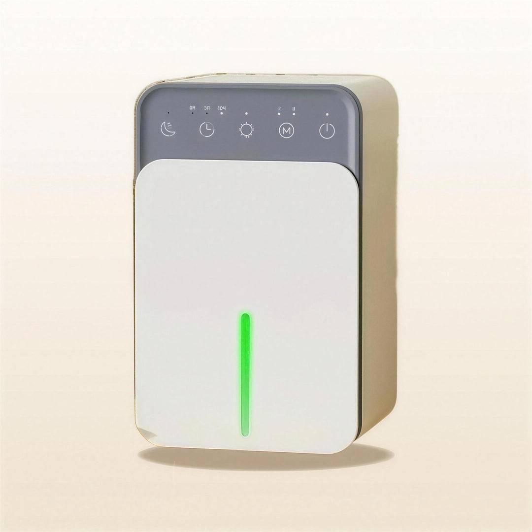 Smart dehumidifier with deodorising filter for damp control