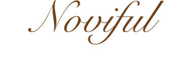 Noviful script wordmark