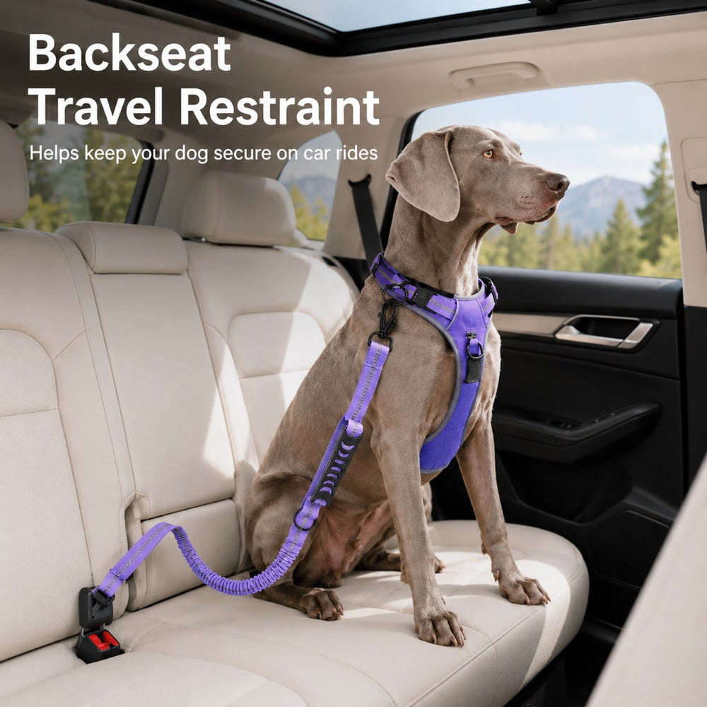 Reflective Dog Car Seat Belt Leash for Backseat Travel & Daily Walks
