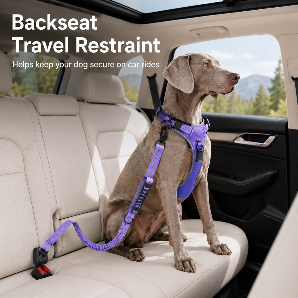 Reflective Dog Car Seat Belt Leash for Backseat Travel & Daily Walks