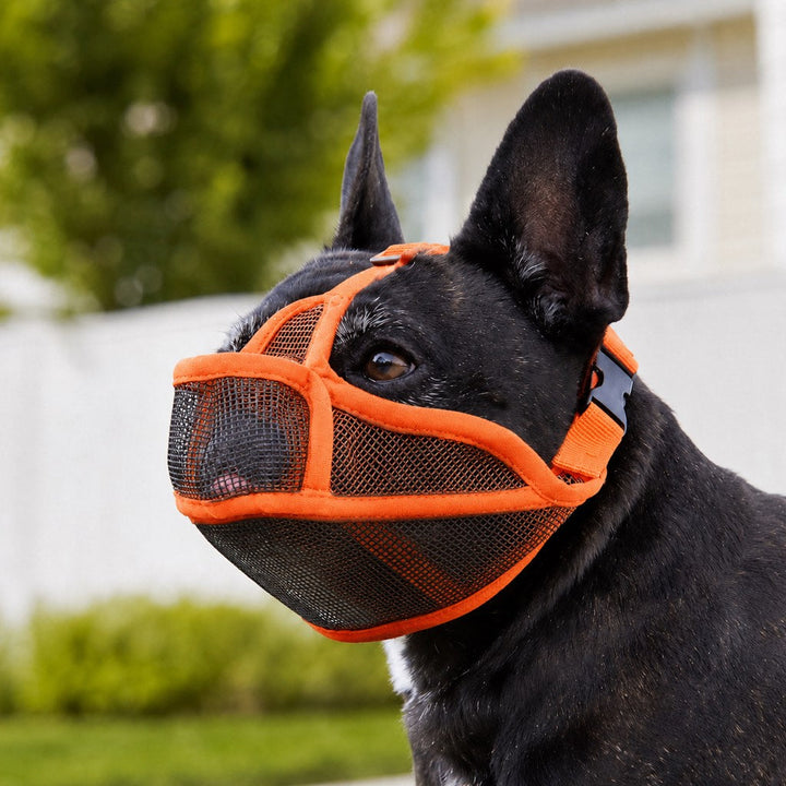 French Bulldog Breathable Mesh Muzzle for Walks, Grooming & Scavenging Control
