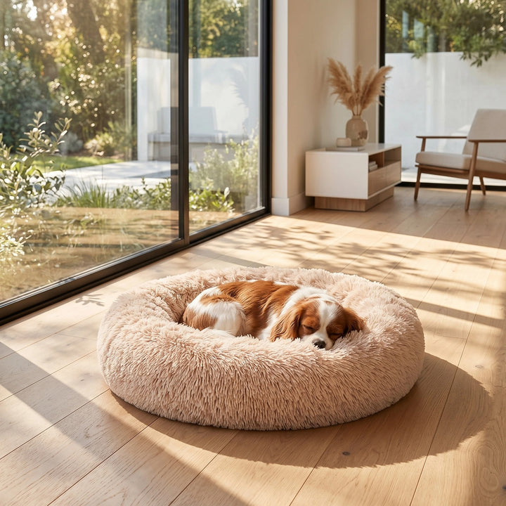 Orthopaedic Calming Donut Dog Bed with Washable Cover and Non Slip Base