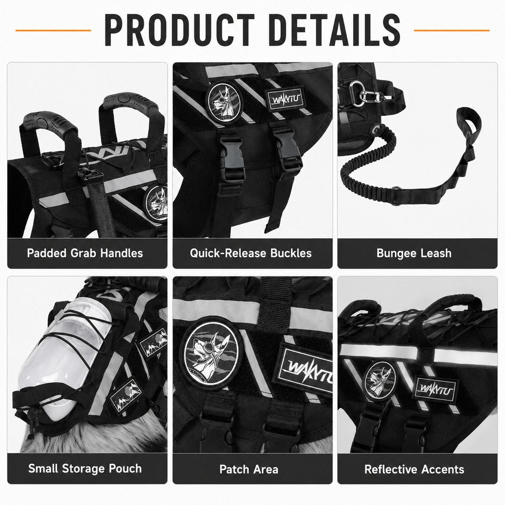 Outdoor Dog Harness & Bungee Leash Set with Dual Handles, Storage Pouch & Patch Accessories for Hiking, Walking and Ever