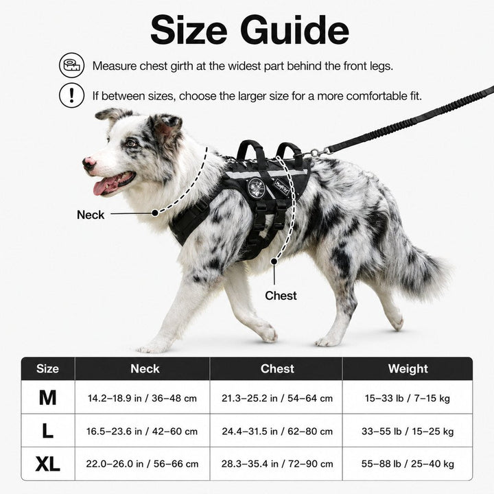 Outdoor Dog Harness & Bungee Leash Set with Dual Handles, Storage Pouch & Patch Accessories for Hiking, Walking and Ever