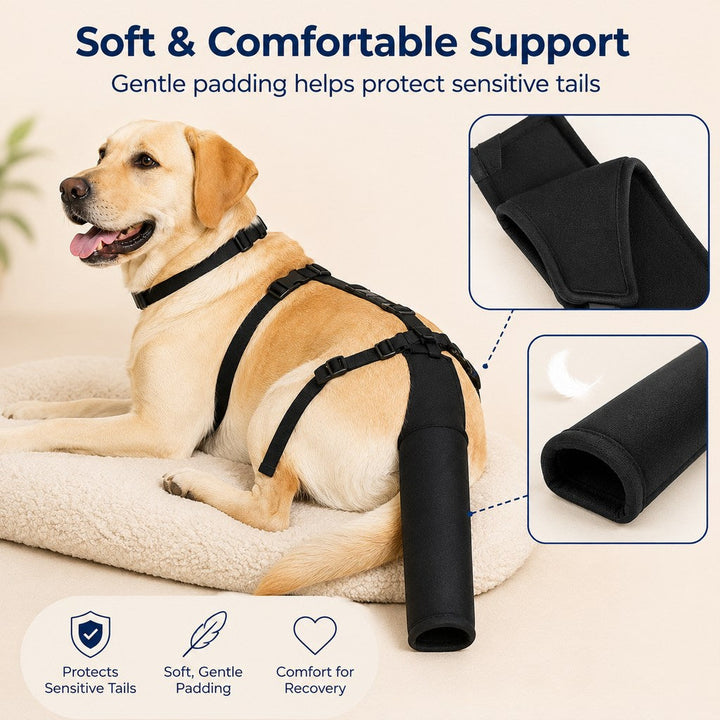 Adjustable Dog Tail Protector for Recovery & Daily Walks | Padded Guard for Sensitive Tails