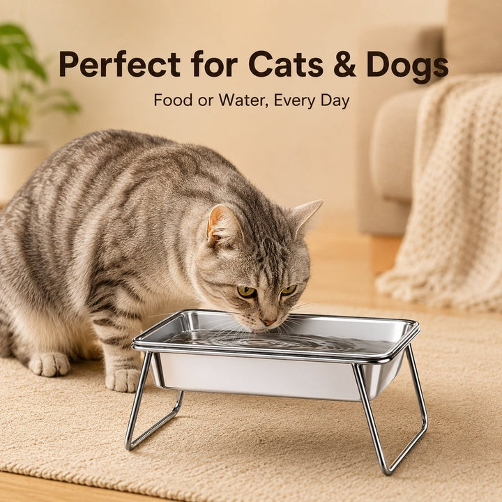 Elevated 304 Stainless Steel Pet Bowl with Stand for Cats & Dogs