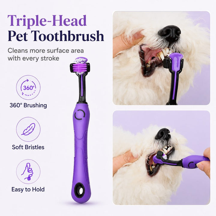 9-Piece Pet Grooming Kit for Dogs & Cats
