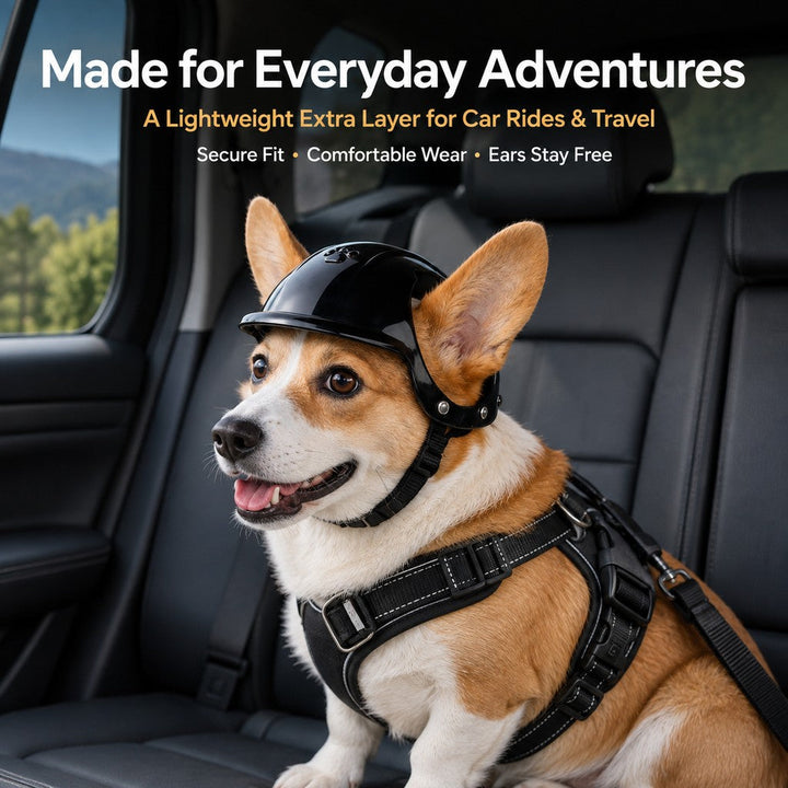 Lightweight Pet Protective Helmet for Car Rides & Outdoor Adventures