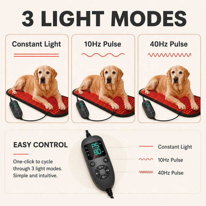 Pet Red & Near-Infrared Light Wellness Mat