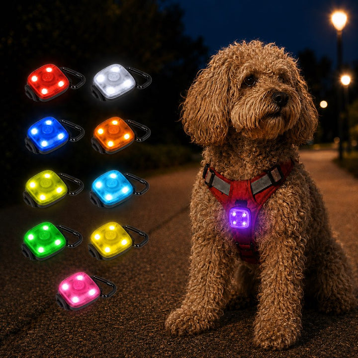 Clip-On Pet Safety Light for Night Walks | Helps Dogs & Cats Stay Visible After Dark