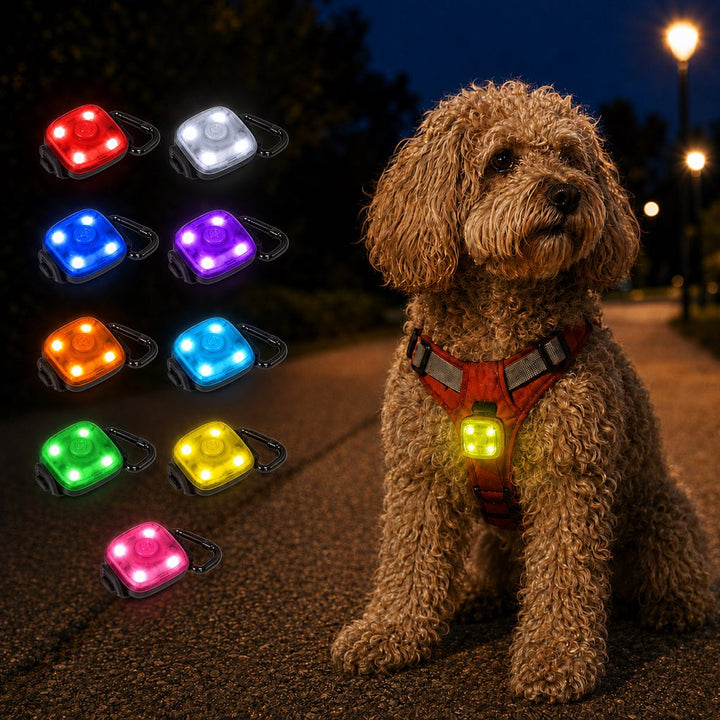Clip-On Pet Safety Light for Night Walks | Helps Dogs & Cats Stay Visible After Dark