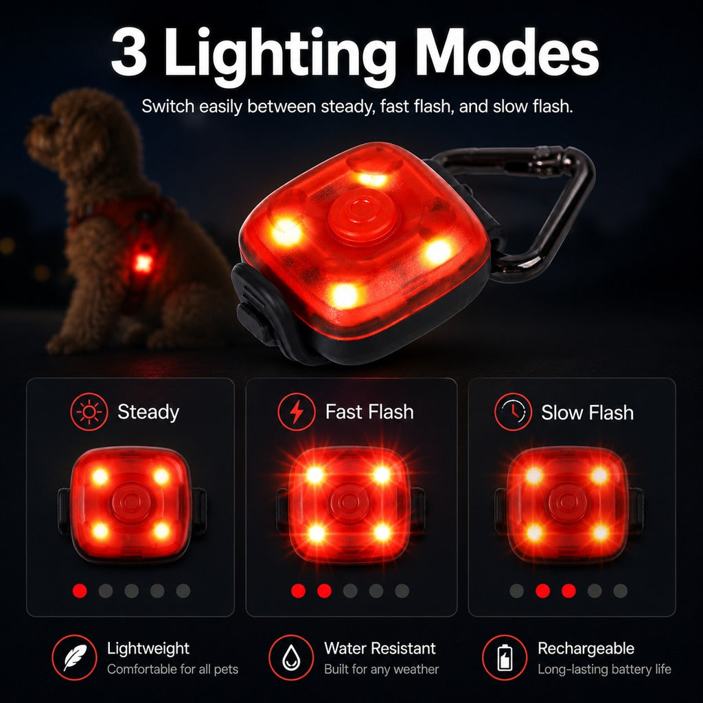 Clip-On Pet Safety Light for Night Walks | Helps Dogs & Cats Stay Visible After Dark