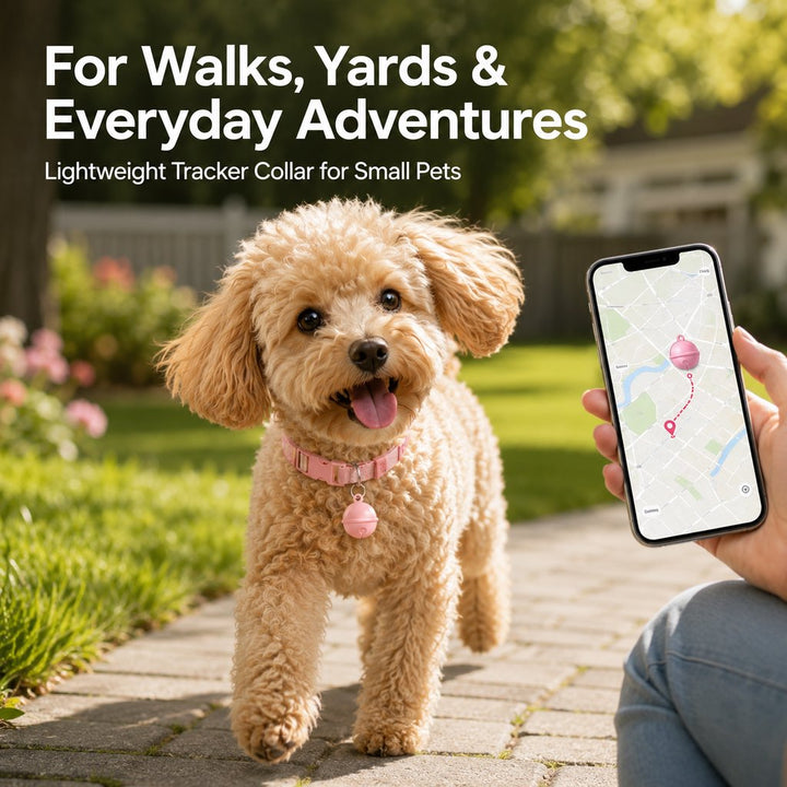 Smart Pet Tracker Bell Collar for Cats & Small Dogs