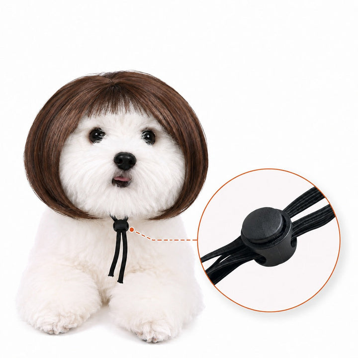 Funny Short Bob Pet Wig for Photos & Parties | Easy Costume Prop for Cats & Small Dogs