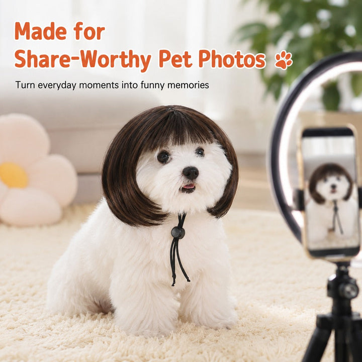 Funny Short Bob Pet Wig for Photos & Parties | Easy Costume Prop for Cats & Small Dogs