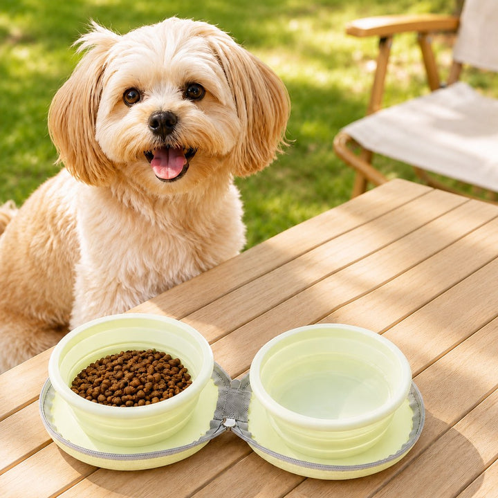 2-in-1 Collapsible Pet Travel Bowl for Walks, Parks & Road Trips