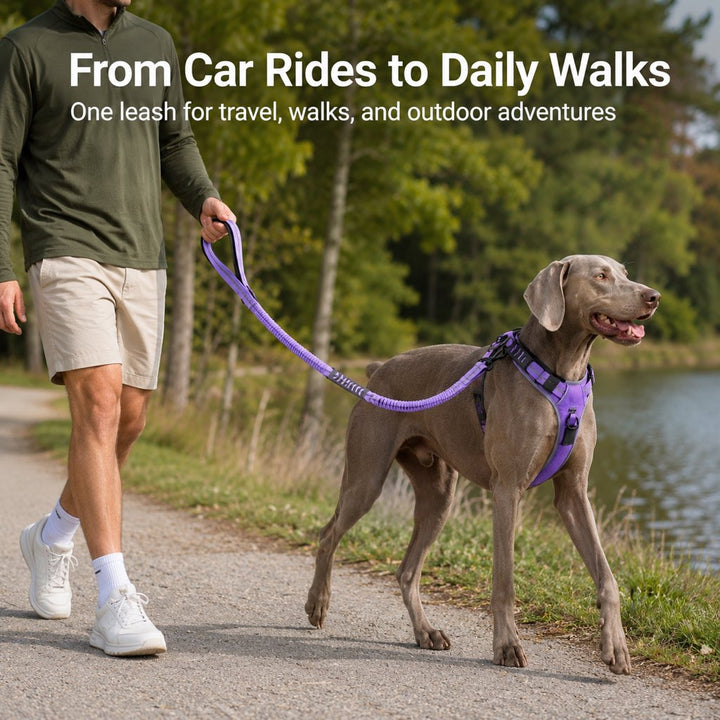 Reflective Dog Car Seat Belt Leash for Backseat Travel & Daily Walks