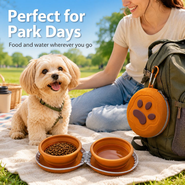 2-in-1 Collapsible Pet Travel Bowl for Walks, Parks & Road Trips