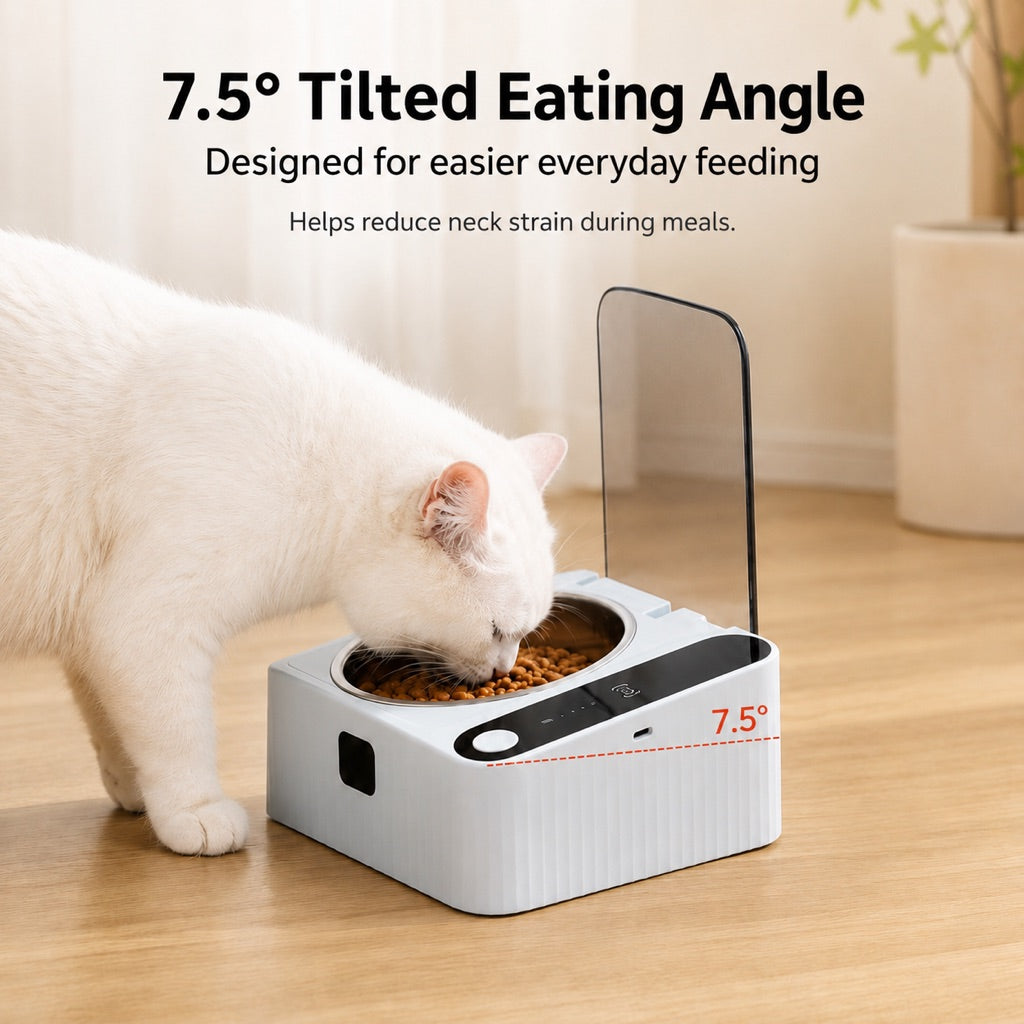 Smart Motion Sensor Covered Cat Bowl for Cleaner Indoor Feeding