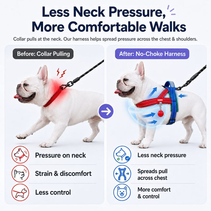 No-Choke French Bulldog Harness & Leash Set for Daily Walks