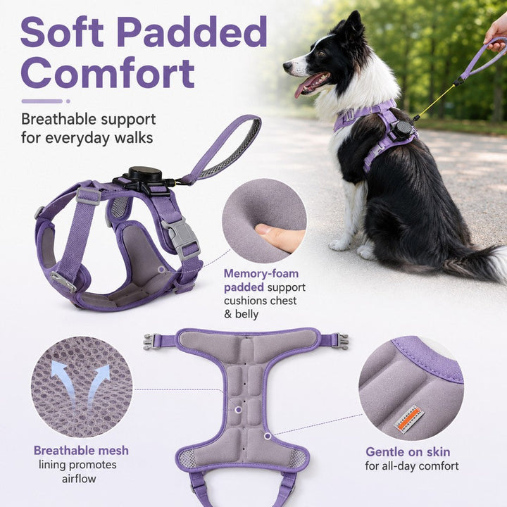 2-in-1 Retractable Dog Harness for Daily Walks