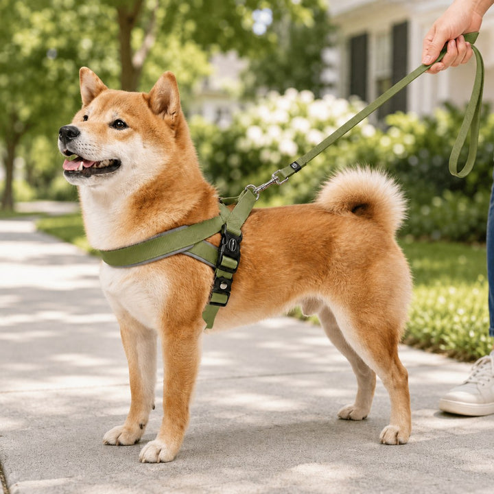 Quick-Fit Lightweight Dog Harness & Leash Set for Daily Walks