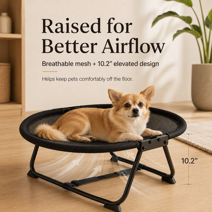 Foldable Elevated Pet Cot for Cats & Small Dogs