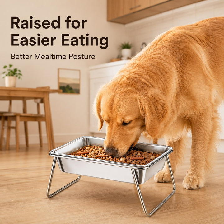 Elevated 304 Stainless Steel Pet Bowl with Stand for Cats & Dogs