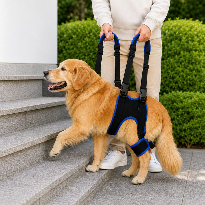 Rear Leg Support Sling for Dogs