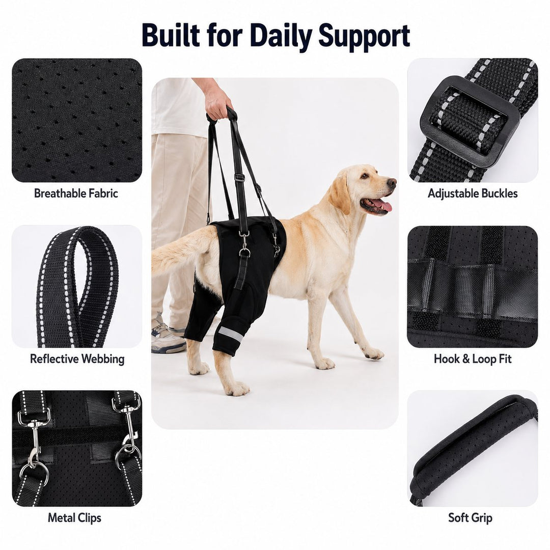 Help Your Senior Dog Climb Stairs, Get in the Car & Walk with Rear-Leg Support