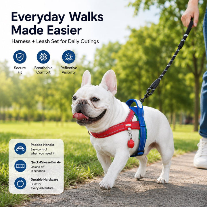 No-Choke French Bulldog Harness & Leash Set for Daily Walks