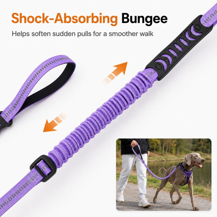 Reflective Dog Car Seat Belt Leash for Backseat Travel & Daily Walks