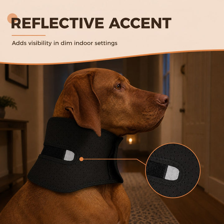 Adjustable Dog Neck Support Brace for At-Home Rest