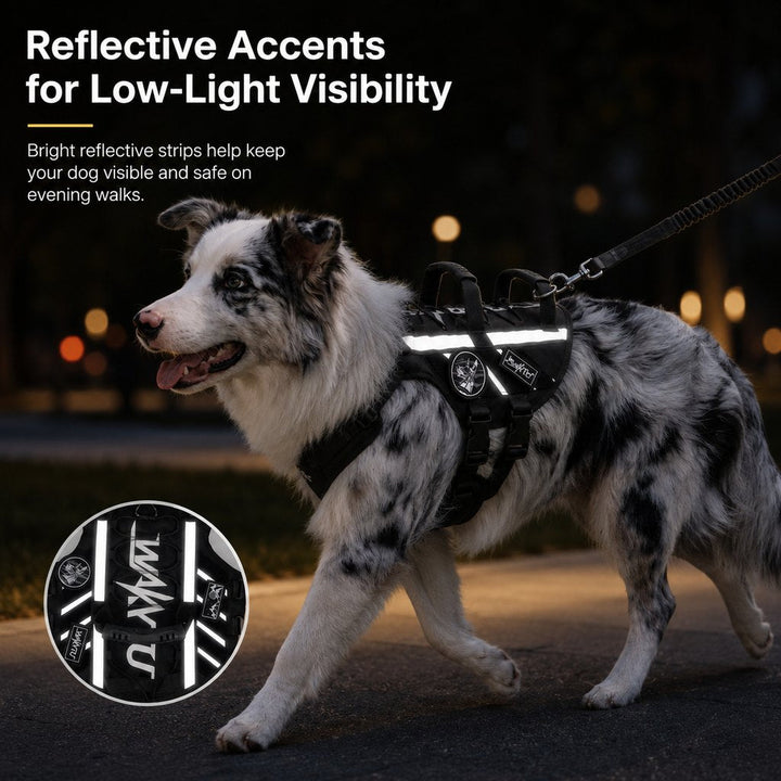 Outdoor Dog Harness & Bungee Leash Set with Dual Handles, Storage Pouch & Patch Accessories for Hiking, Walking and Ever