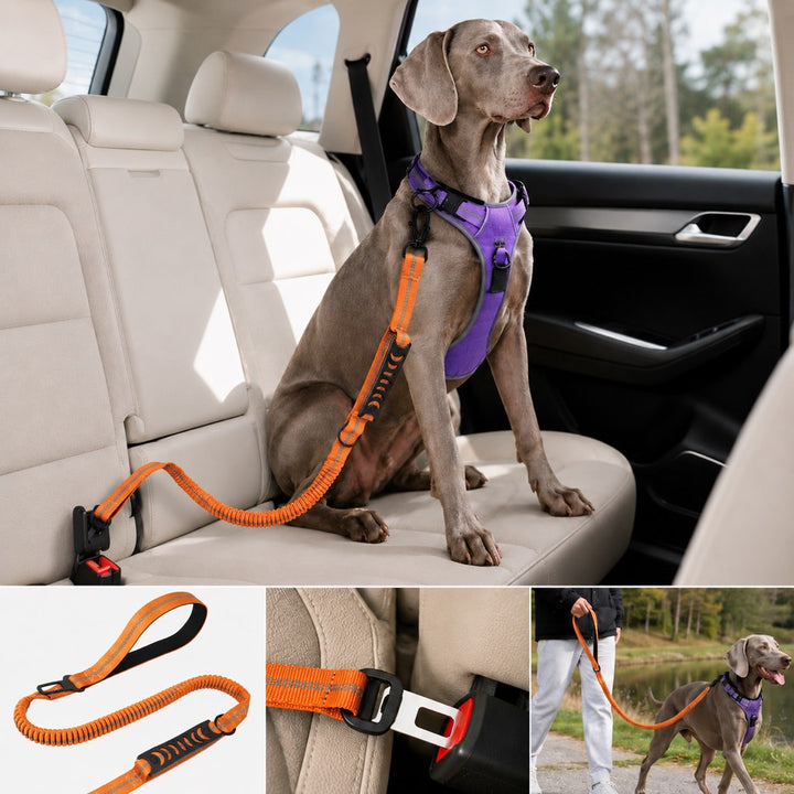 Reflective Dog Car Seat Belt Leash for Backseat Travel & Daily Walks