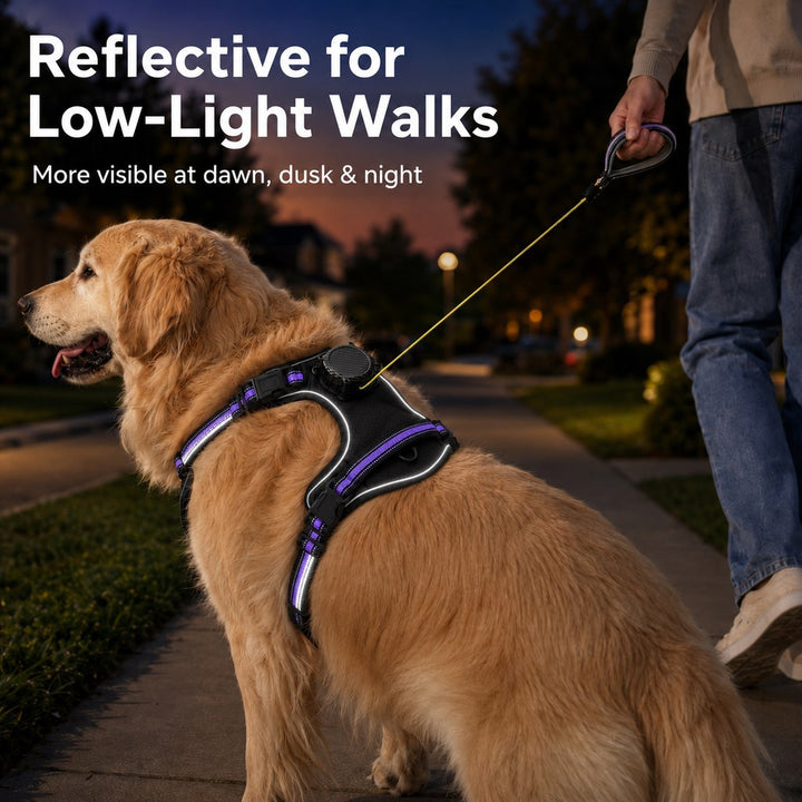 2-in-1 Reflective Dog Harness with Built-In Retractable Leash for Daily Walks