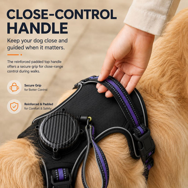 2-in-1 Reflective Dog Harness with Built-In Retractable Leash for Daily Walks