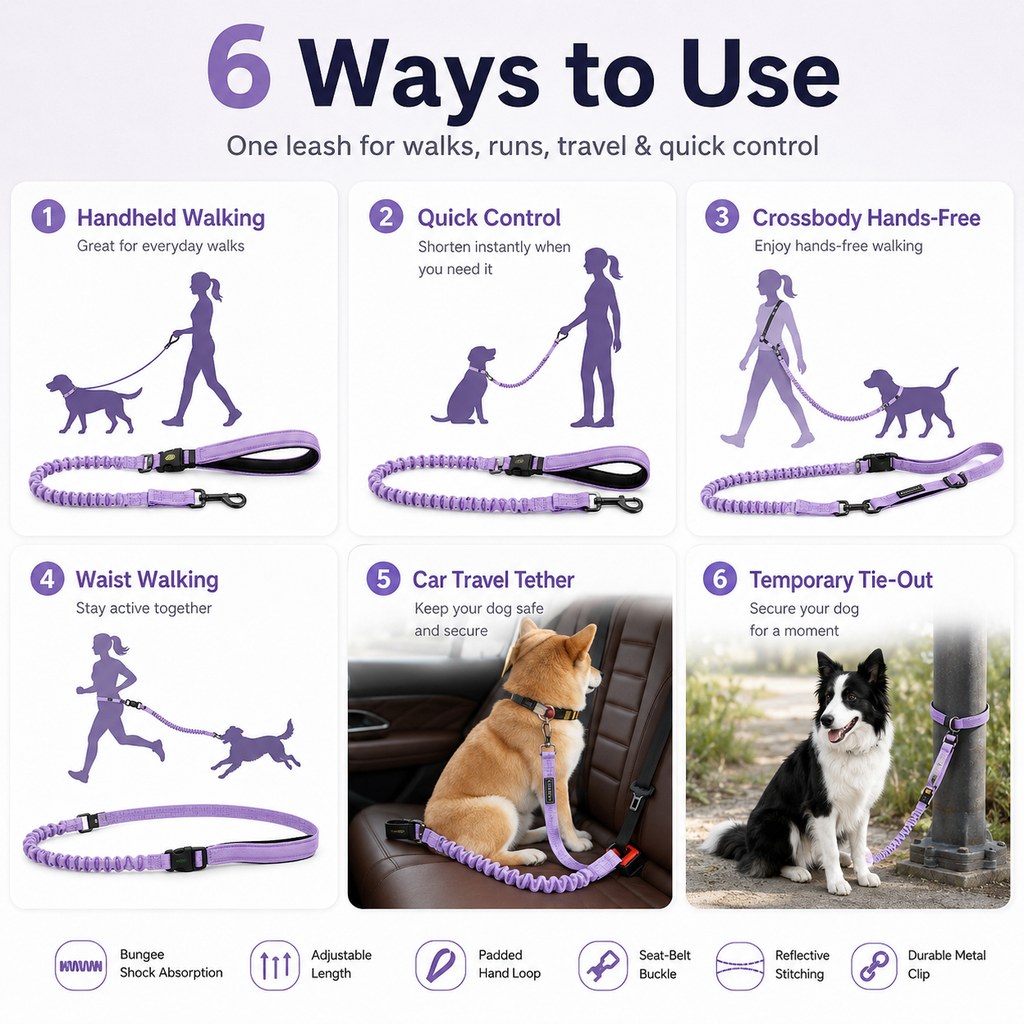 Hands-Free Shock-Absorbing Dog Leash for Running, Walking & Car Travel